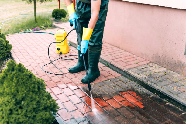 Best Roof Pressure Washing  in Bridgeport, WA