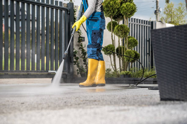 Best Local Pressure Washing Services  in Bridgeport, WA