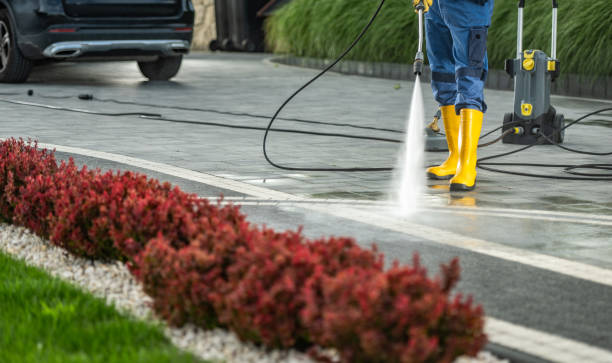 Best Roof Pressure Washing  in Bridgeport, WA